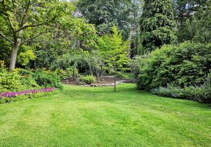 Optimiser l'expérience du jardin à Creuzier-le-Neuf